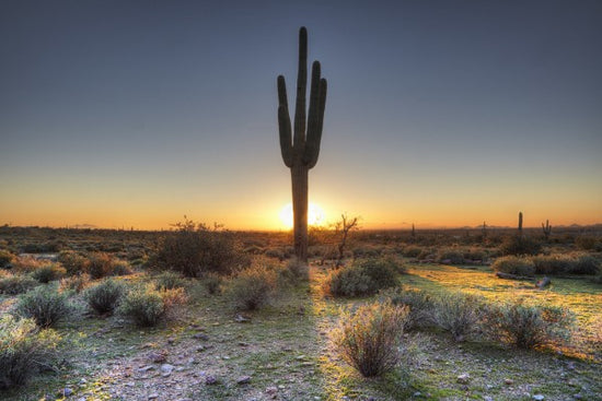 PHOTOWALL / Desert Sunset (e40333)