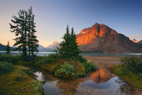 PHOTOWALL / Crowfoot Mountain Reflection (e40392)