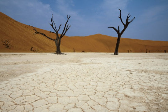 PHOTOWALL / Deadvlei, Namibia (e40395)