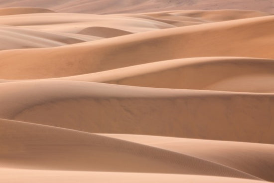 PHOTOWALL / Dunes of the Desert (e40396)