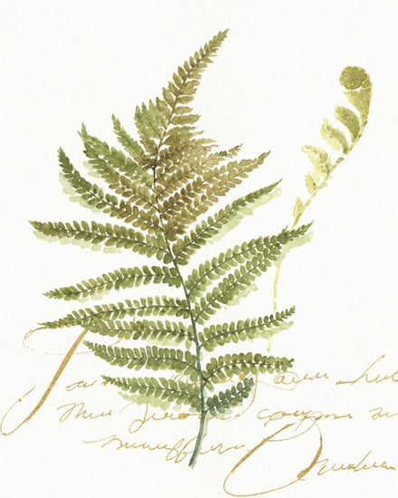 PHOTOWALL / Watercolor Fern (e25081)