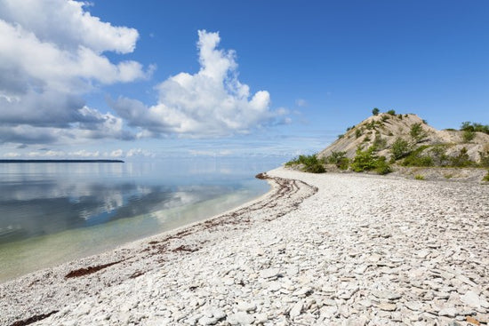 PHOTOWALL / Sunny Coast of Gotland (e25130)