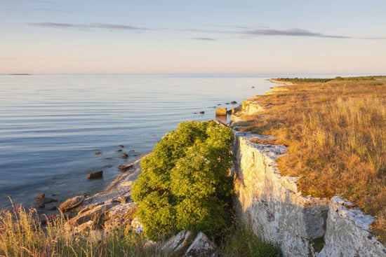 PHOTOWALL / Fjaugen Gotland (e25135)