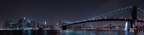 PHOTOWALL / Manhattan Skyline and Brooklyn Bridge (e29488)