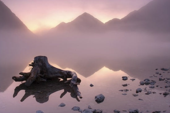 PHOTOWALL / Misty Morning at the Lake (e29534)