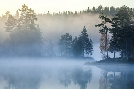 PHOTOWALL / Norwegian Mist (e29539)