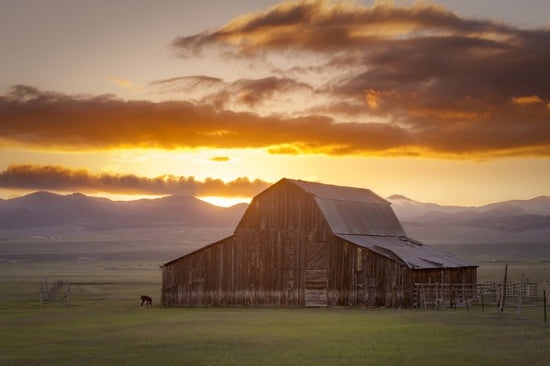 PHOTOWALL / Wet Mountain Barn (e29573)