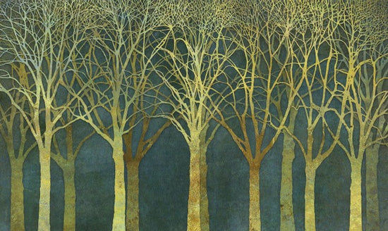 PHOTOWALL / Birch Grove Golden Light (e25603)