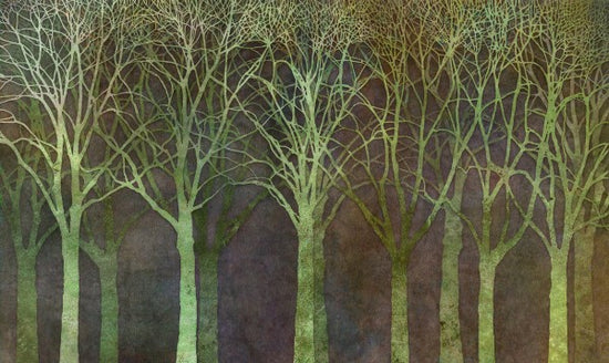 PHOTOWALL / Birch Grove Night Green (e25606)