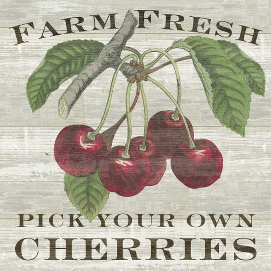 PHOTOWALL / Farm Fresh Cherries (e25640)