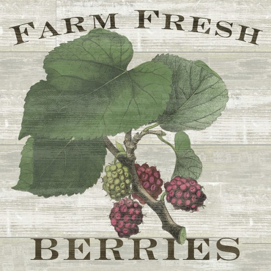 PHOTOWALL / Farm Fresh Raspberries (e25641)