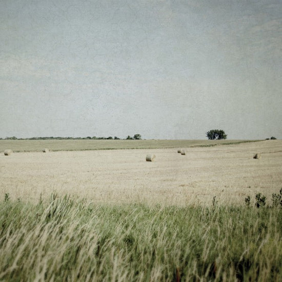 PHOTOWALL / Hay (e25646)