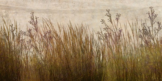 PHOTOWALL / Brass Grass Silhouette (e25726)