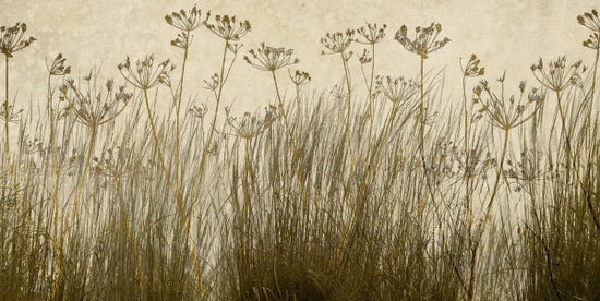 PHOTOWALL / Golden Grass Silhouette (e25729)
