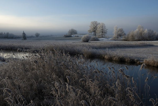 PHOTOWALL / Cold (e29722)