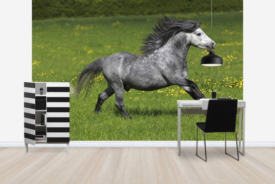 PHOTOWALL / Horse on Green and Yellow Meadow I (e29826)