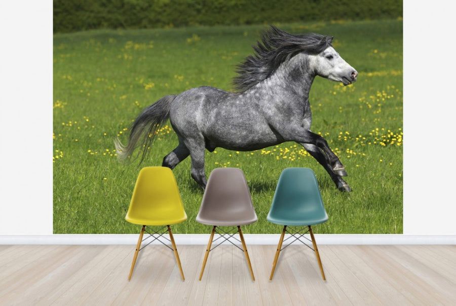 PHOTOWALL / Horse on Green and Yellow Meadow I (e29826)