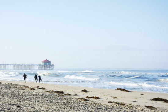 PHOTOWALL / Huntington Pier (e29819)