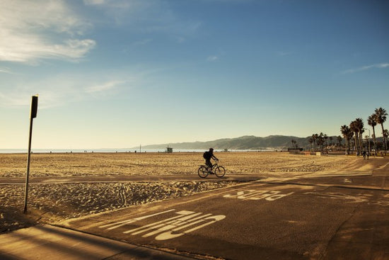 PHOTOWALL / Venice Beach, Los Angeles (e30038)