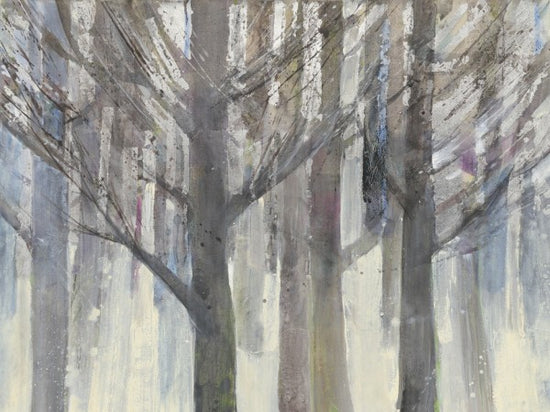 PHOTOWALL / Forest Light (e25906)