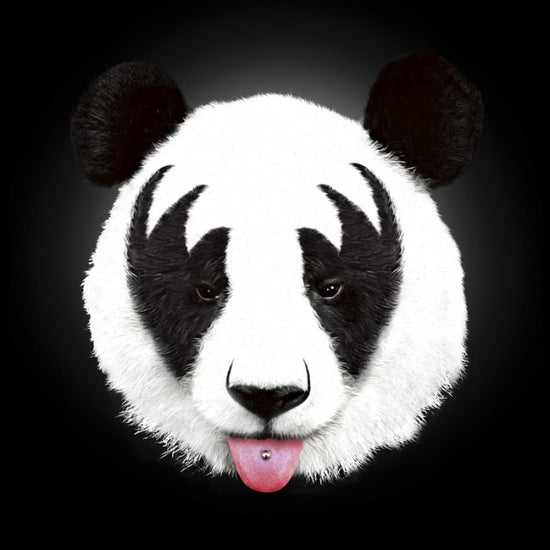 PHOTOWALL / Kiss of a Panda (e30058)