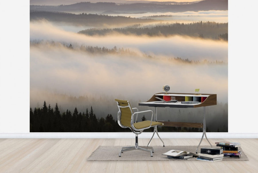 PHOTOWALL / Fog in Bergslagen, Sweden (e40440)