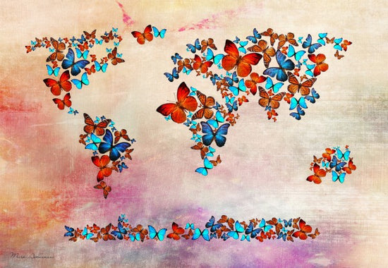 PHOTOWALL / Butterflies Forming World Map (e30173)