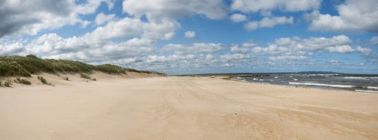 PHOTOWALL / Vejbystrand in Skane, Sweden (e40460)