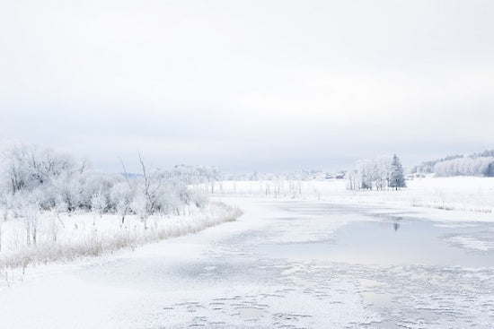 PHOTOWALL / Svartan in Winter, Sweden (e40474)
