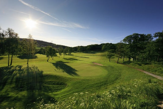 PHOTOWALL / Golf Court in Gothenburg, Sweden (e40557)