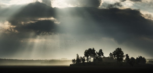 PHOTOWALL / Sunbeam through Clouds in Stigtomta, Sweden (e40508)