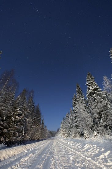 PHOTOWALL / Winter Landscape in Mora, Sweden (e40511)