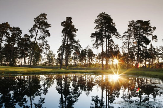 PHOTOWALL / Sunrise over Drottningholm, Sweden (e40559)