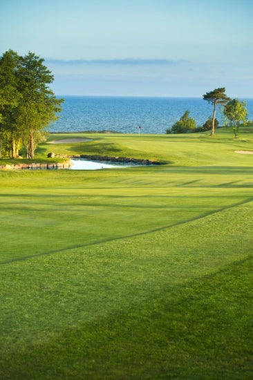 PHOTOWALL / Golf Court in Stora Lund, Sweden (e40560)