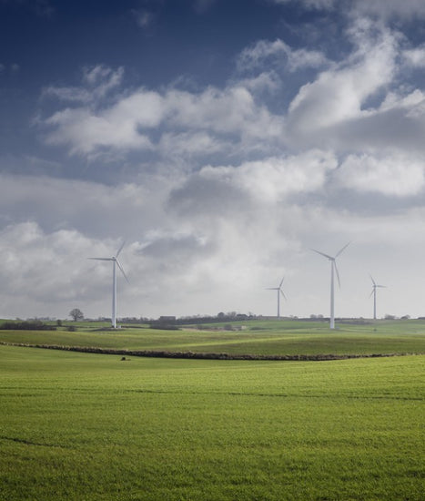 PHOTOWALL / Windmill in Green Fields of Skane, Sweden (e40565)