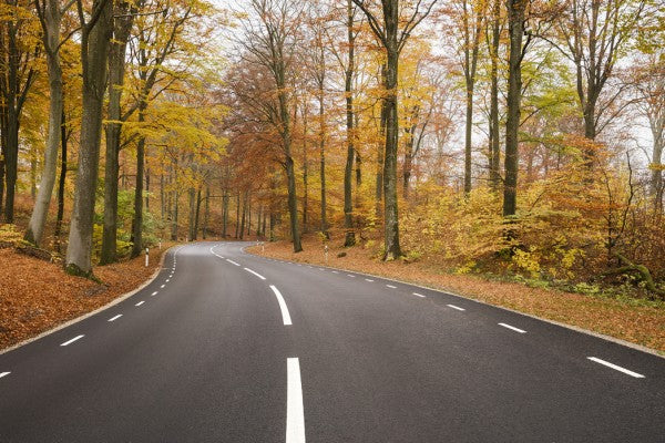 PHOTOWALL / Autumn Road in Rostanga, Sweden (e40519)