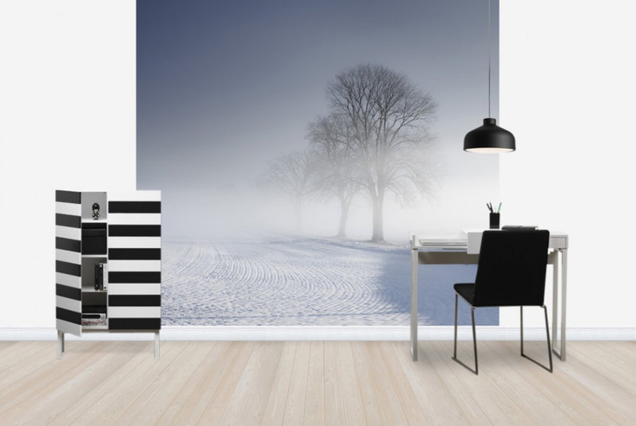 PHOTOWALL / Winter Landscape in Skabersjo, Sweden (e40569)