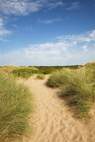 PHOTOWALL / Beach in Tylosand, Sweden (e40524)