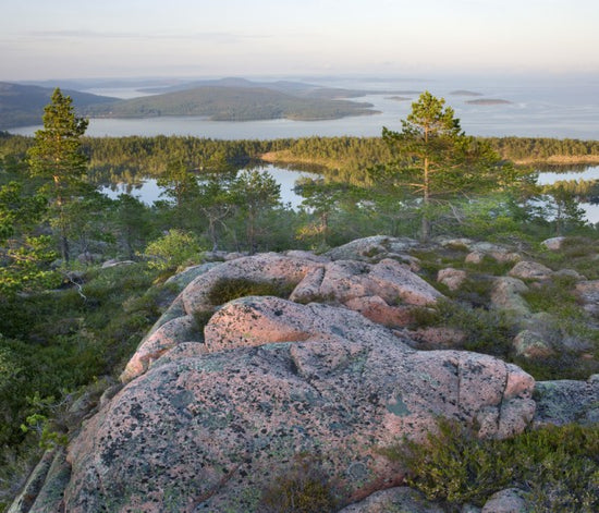 PHOTOWALL / Skuleskogen National Park, Sweden (e40574)