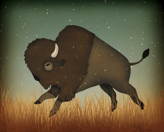 PHOTOWALL / Buffalo Bison (e30331)