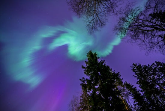 PHOTOWALL / Northern Light - Purple Sky (e40581)