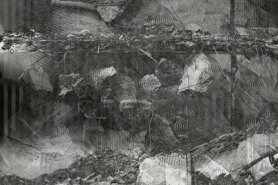 PHOTOWALL / Orchid Demolition Chaos Grey (e40010)