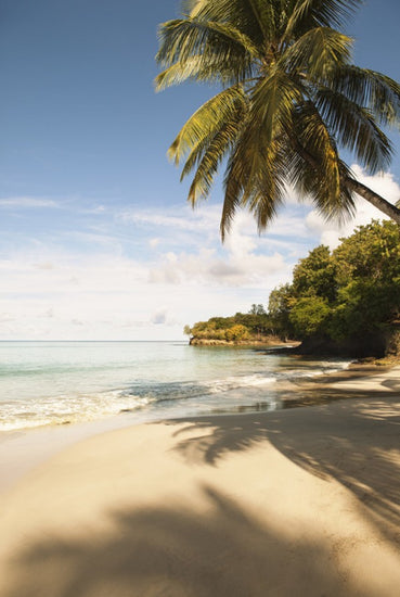 PHOTOWALL / Beach in Saint Lucia, Carribean (e40645)