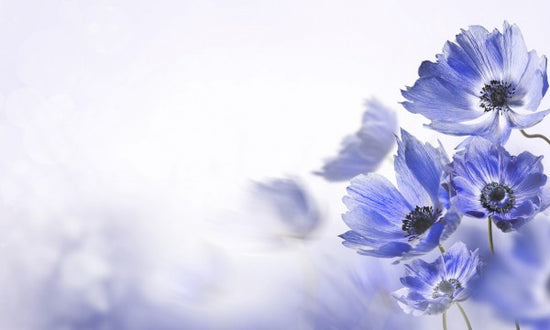 PHOTOWALL / Gloaming Blue Flowers (e40600)