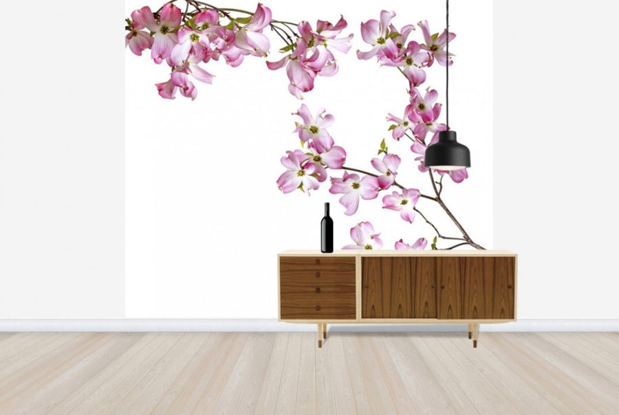 PHOTOWALL / Striped Orchid (e40609)