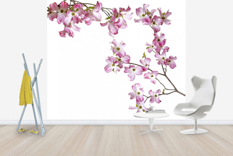 PHOTOWALL / Striped Orchid (e40609)