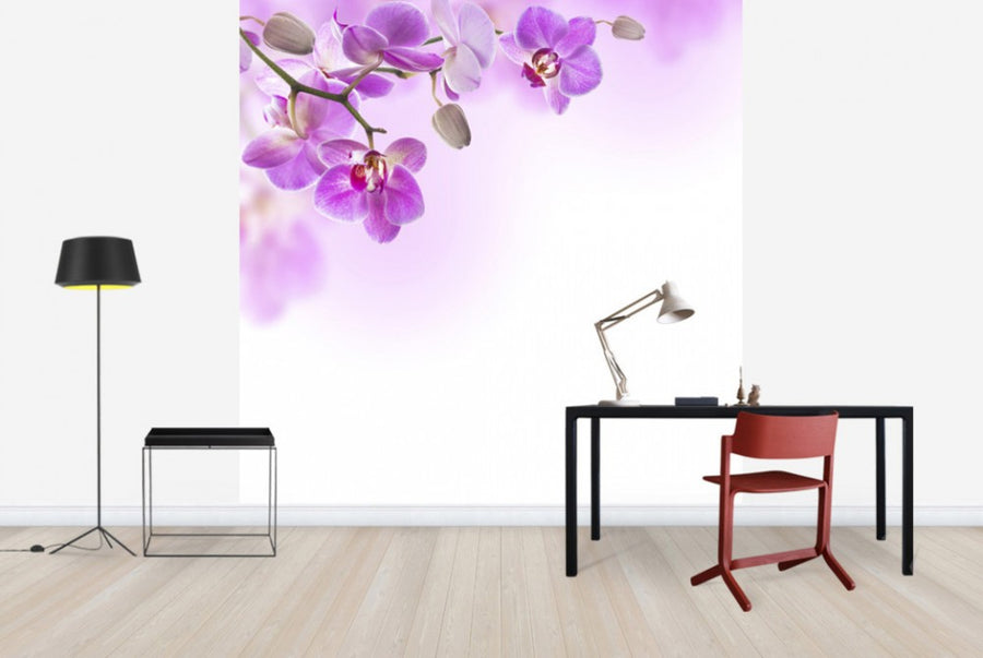 PHOTOWALL / Tropical Fuchsia Orchids (e40612)