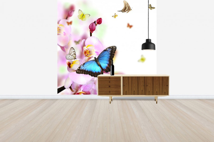 PHOTOWALL / Butterflies and Orchid Blossoms (e40689)