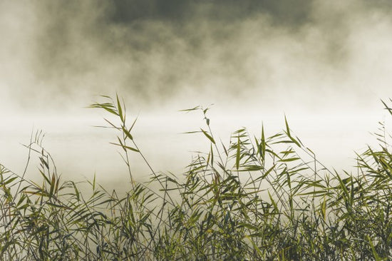 PHOTOWALL / Yngaren in Fog, Sweden (e40753)