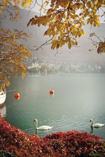 PHOTOWALL / Autumn in Montreux, Schweiz (e40754)